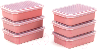 Набор контейнеров Полесье 176x123x50мм с крышками / 73928 - фото