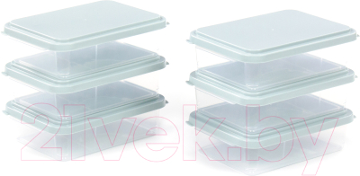 Набор контейнеров Полесье 176x123x50мм с крышками / 73911 - фото