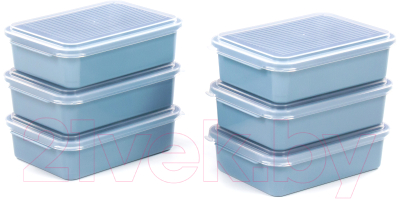 Набор контейнеров Полесье 176x123x50мм с крышками / 73904 - фото