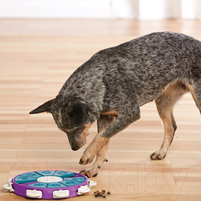 Игрушка для собак Nina Ottosson Twister 67335M