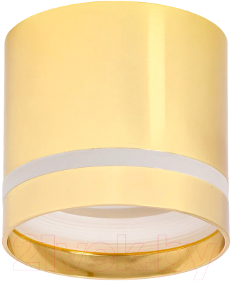 Точечный светильник IEK LT-UPB0-4016-GX53-1-K22 - фото