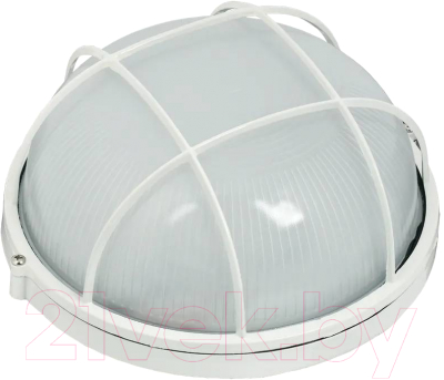 Светильник ЖКХ IEK LNPP0-1102-1-100-K01 - фото