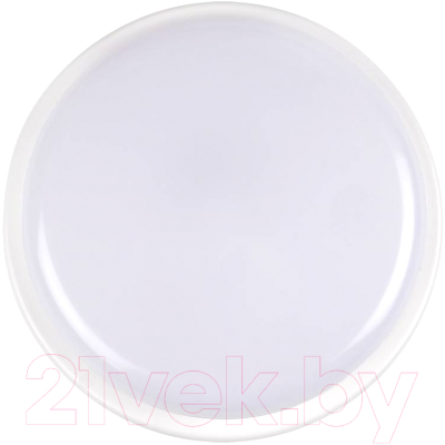 Светильник ЖКХ JAZZway Банник PBH-PC2-RA 8Вт 4000К / 1035646