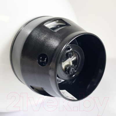 Светильник уличный Элетех Шар НТУ 06-60-01 / 1030480230