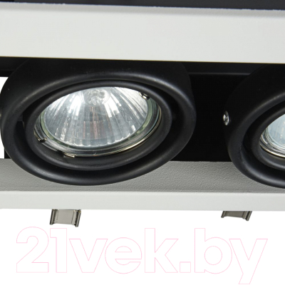 Точечный светильник Maytoni Metal Modern DL008-2-02-W