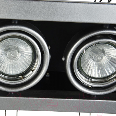 Точечный светильник Maytoni Metal Modern DL008-2-02-S