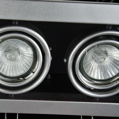 Точечный светильник Maytoni Metal Modern DL008-2-02-S