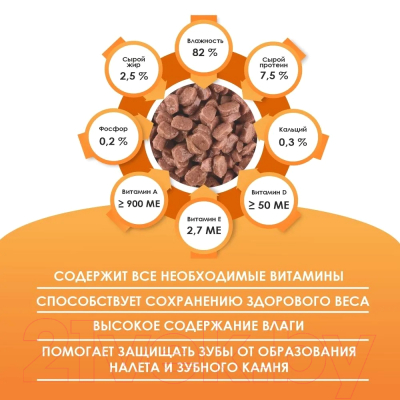 Влажный корм для кошек Kissa С курицей в соусе