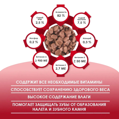 Влажный корм для кошек Kissa С говядиной в соусе