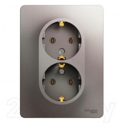 Розетка Schneider Electric Glossa GSL001224 - фото