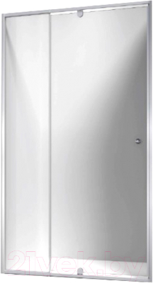 Душевая дверь PELICAN SSW01410 - фото