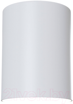 Потолочный светильник Maytoni Alfa C014CL-01W - фото