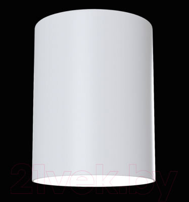 Потолочный светильник Maytoni Alfa C014CL-01W