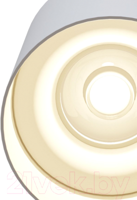 Потолочный светильник Maytoni Alfa C014CL-01W