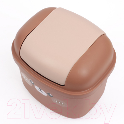 Мусорное ведро Darvish DV-H-1841 