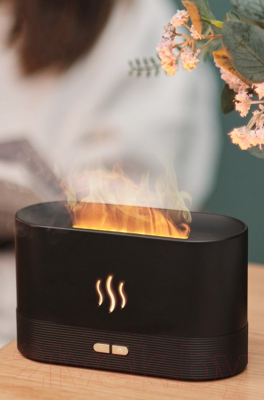 Аромадиффузор электрический Sundays Home TBD0601842501B