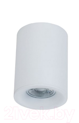 Точечный светильник Maytoni Alfa C012CL-01W - фото