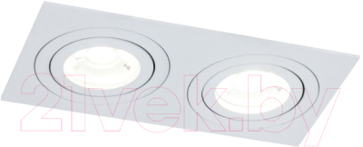 Точечный светильник Maytoni Atom DL024-2-02W