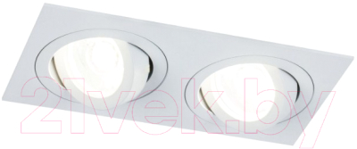 Точечный светильник Maytoni Atom DL024-2-02W