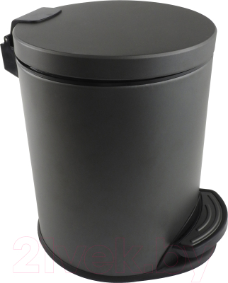 Мусорное ведро Aquatek Вега AQ4016MB - фото