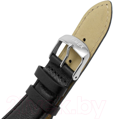 Часы наручные мужские Timex TW2V43200