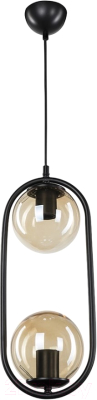Потолочный светильник Toplight Kerrie TL1609H-02BK - фото