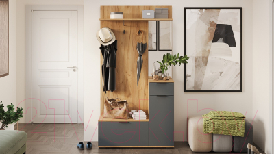 Секция в прихожую ТриЯ Эвита комбинированная Тип 1