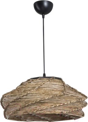 Потолочный светильник Toplight Ruth TL1633H-01B1 - фото