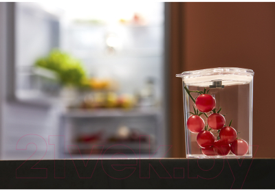 Емкость для хранения Smart Solutions Keep In / SS000079