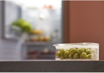 Емкость для хранения Smart Solutions Keep In / SS000083