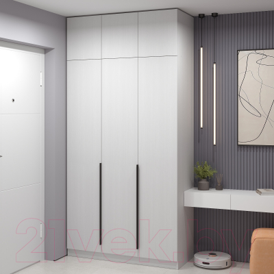 Шкаф Soma Lord Black 3-х створчатый 120x240