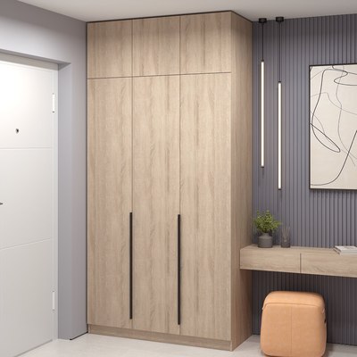 Шкаф Soma Lord Black 3-х створчатый 120x240