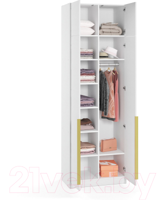 Шкаф Soma Lord Gold 2-х створчатый 80x240