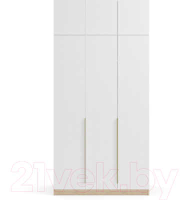 Шкаф Soma Lord Gold 3-х створчатый 120x240