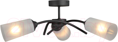 Люстра Vitaluce V2850-1/3PL - фото