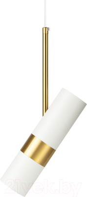 Потолочный светильник ЭРА PL33 WH/GD MR16 GU10 / Б0061381