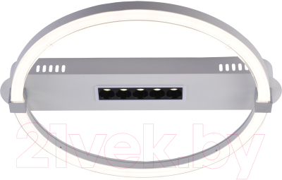 Потолочный светильник ESCADA Aspect 10253/1LED - фото