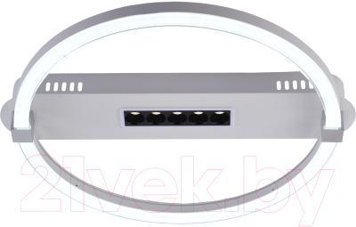 Потолочный светильник ESCADA Aspect 10253/1LED