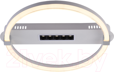 Потолочный светильник ESCADA Aspect 10253/1LED