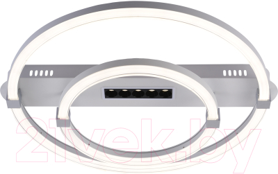 Потолочный светильник ESCADA Aspect 10253/2LED - фото