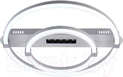 Потолочный светильник ESCADA Aspect 10253/2LED