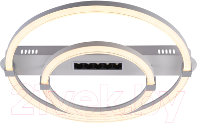 Потолочный светильник ESCADA Aspect 10253/2LED