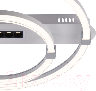 Потолочный светильник ESCADA Aspect 10253/2LED