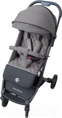 Детская прогулочная коляска Amarobaby Airy / AB23-10AIRY/11 (серый) - фото