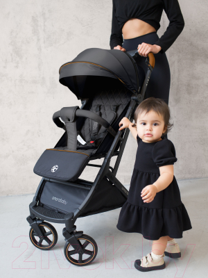 Детская прогулочная коляска Amarobaby Airy / AB23-10AIRY/09 (черный)