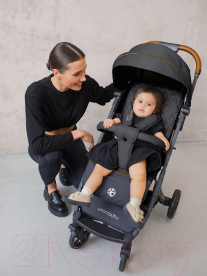 Детская прогулочная коляска Amarobaby Airy / AB23-10AIRY/09 (черный)
