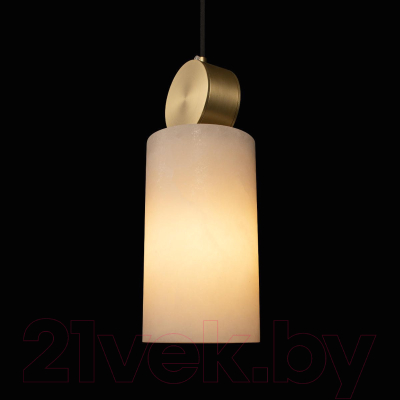 Потолочный светильник Loftit Dolomite 10249/B