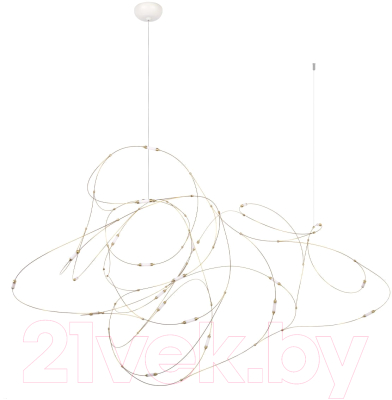 Потолочный светильник Loftit Flock of Light 10309/21 - фото