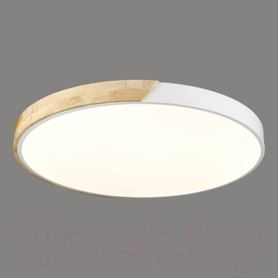 Потолочный светильник Velante 445-067-01