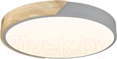 Потолочный светильник Velante 445-227-01 - фото